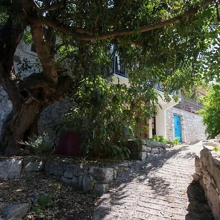 Guest house Pavla 3*