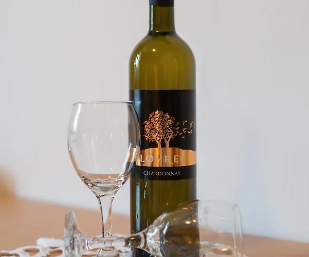 Maison d'hôtes Pavla Goveđari